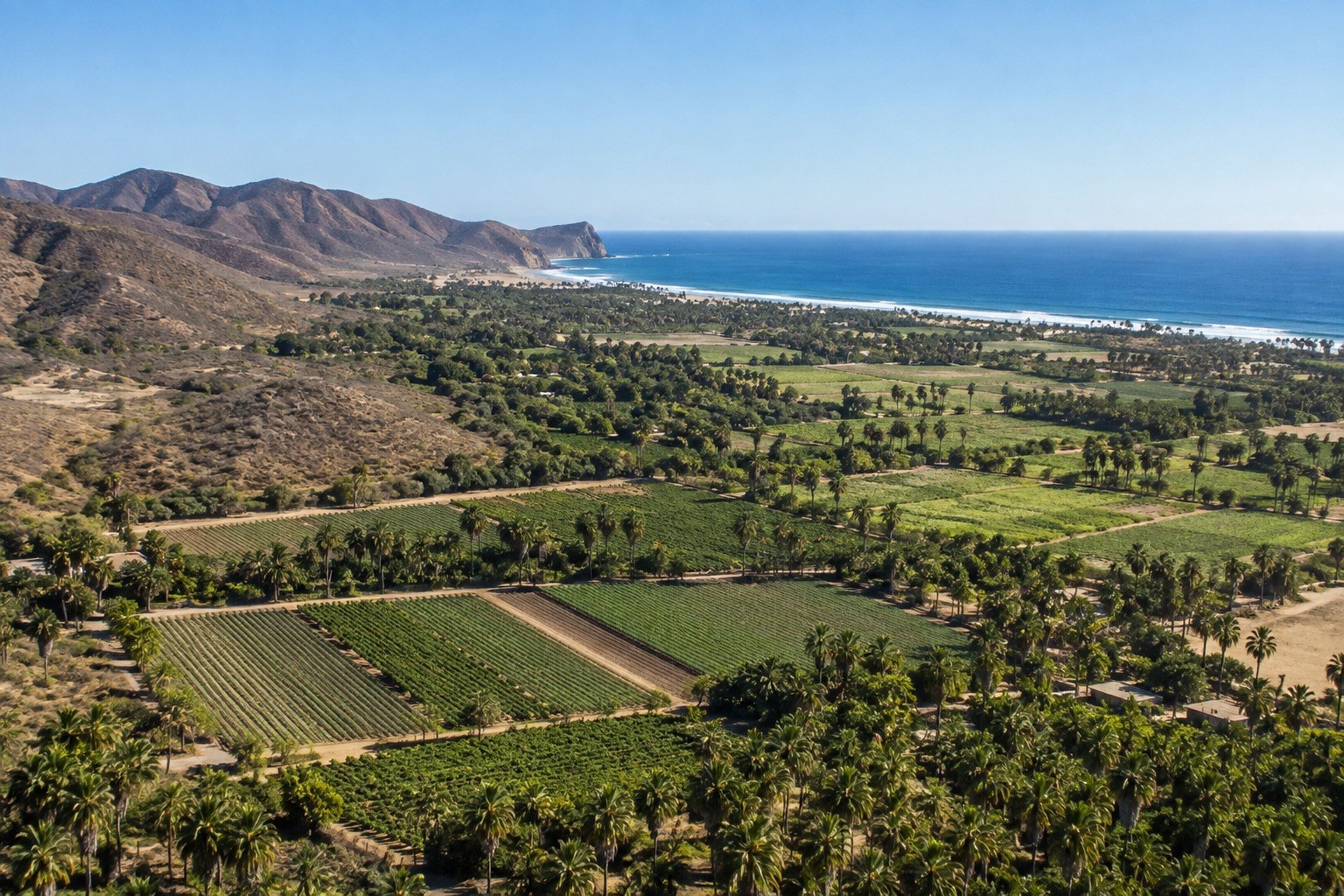 El Pescadero